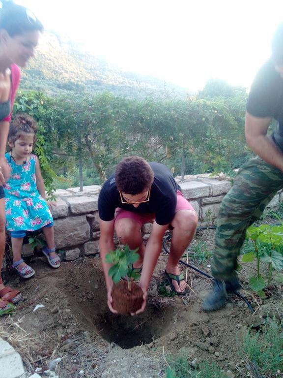 Keramos Hotel Zaros Bagian luar foto